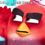 “哪吒”后又一必看！《愤怒的小鸟2》发布终极预告