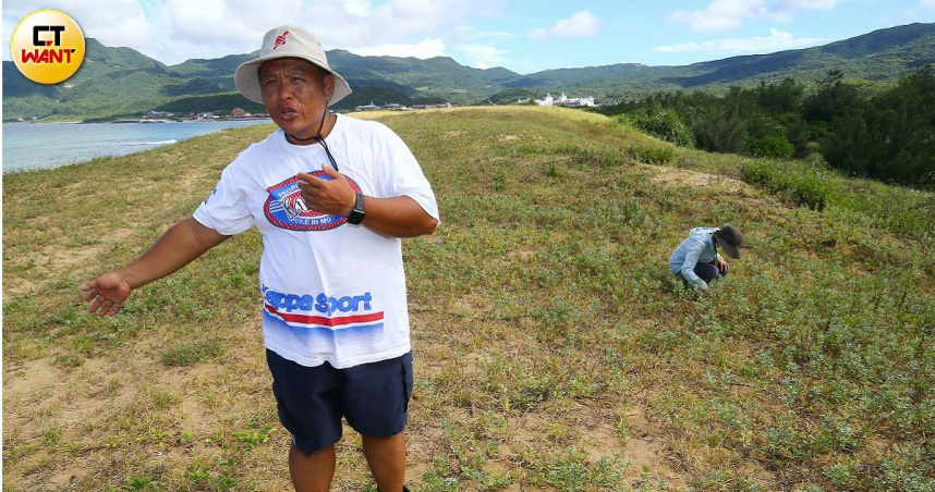 海米保衛戰2/全台稀有植物最多的海邊 觀光客大量採摘險成歷史